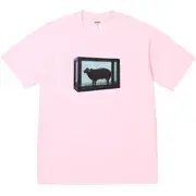Supreme Supreme/Damien Hirst Tee