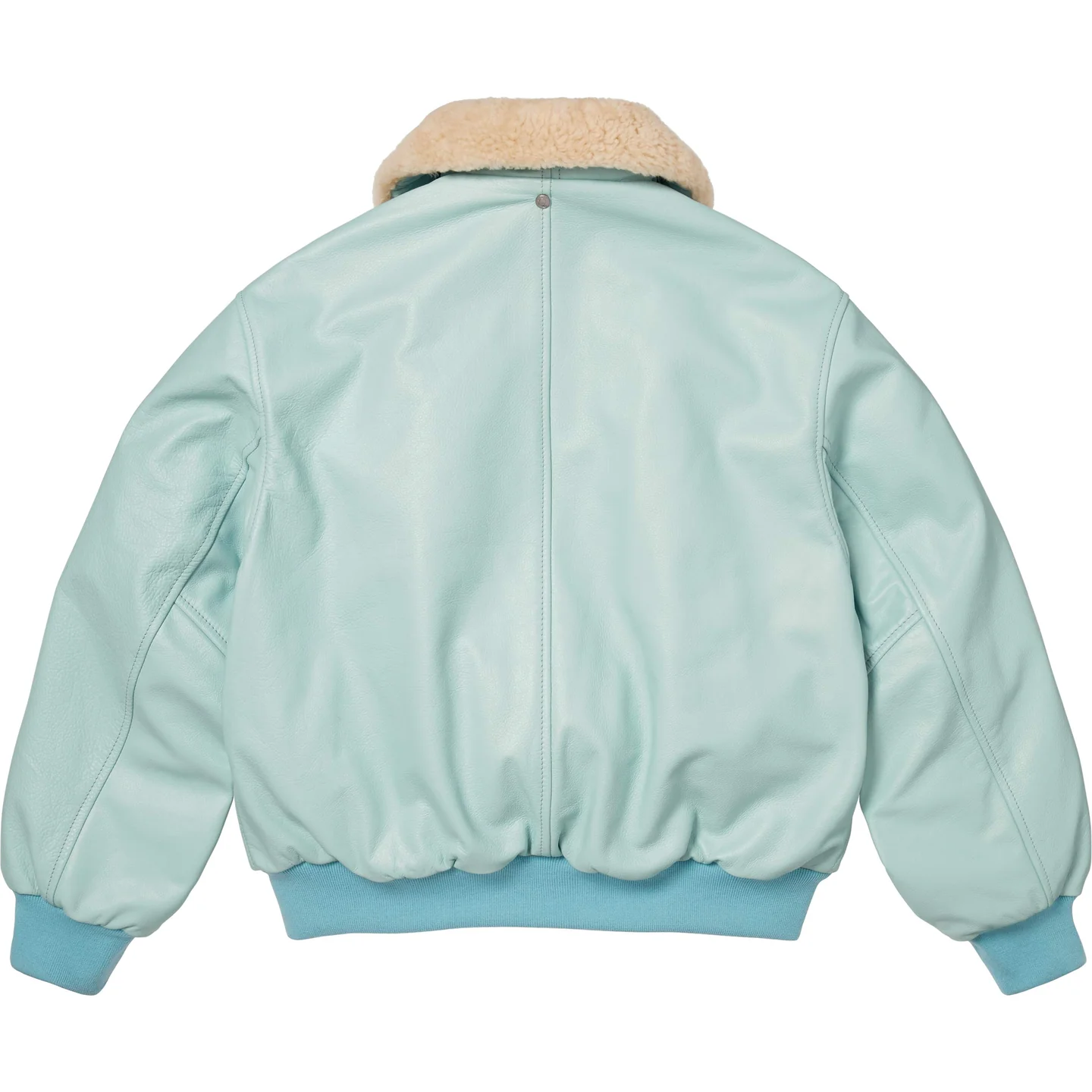 Supreme Supreme®/Schott® Shearling Collar Bomber Jacket